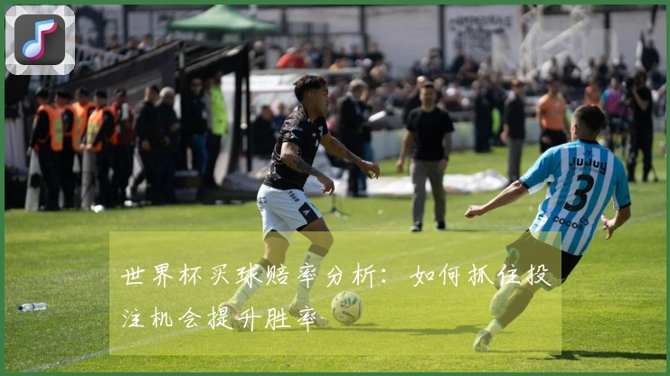 世界杯买球赔率分析：如何抓住投注机会提升胜率