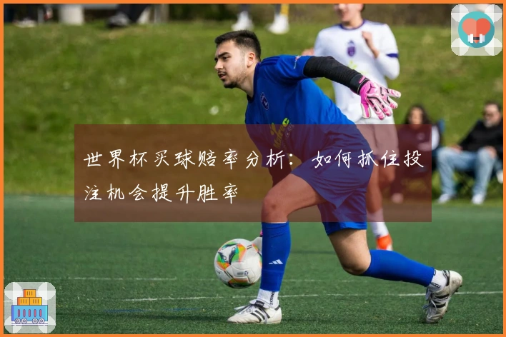 世界杯买球赔率分析：如何抓住投注机会提升胜率