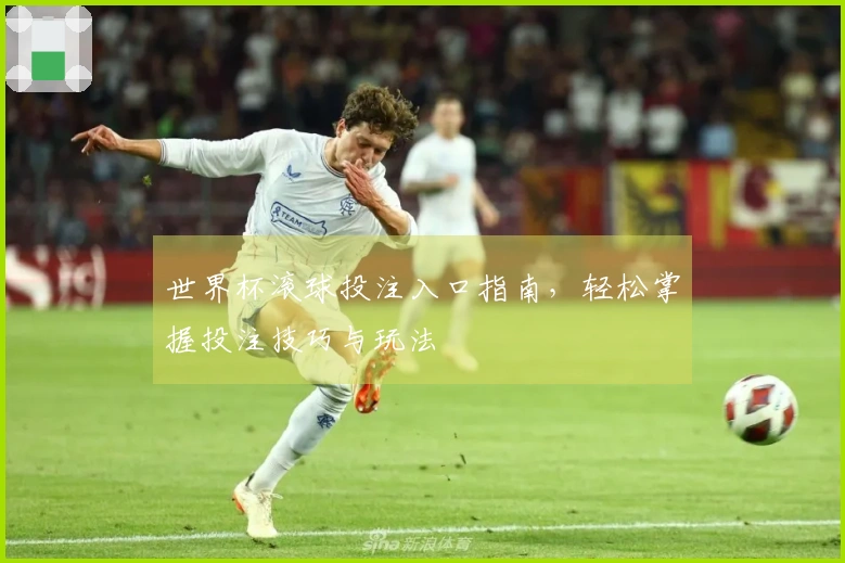 世界杯滚球投注入口指南，轻松掌握投注技巧与玩法