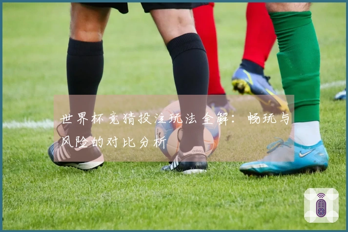 世界杯竞猜投注玩法全解：畅玩与风险的对比分析