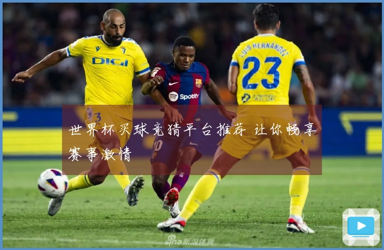 世界杯买球竞猜平台推荐 让你畅享赛事激情